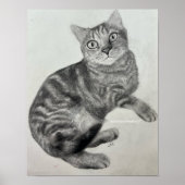 Opal (Katze) - Druck Poster (Vorne)