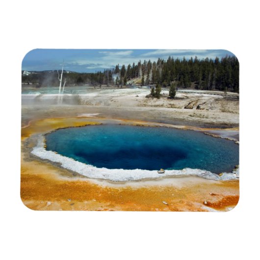 Opal Pool Magnet (Horizontal)