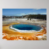 Opal Pool Poster (Vorne)