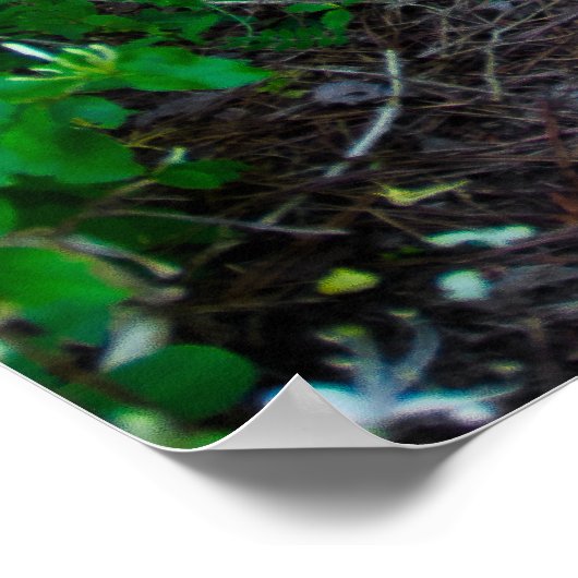 Opel GT Poster (Ecke)