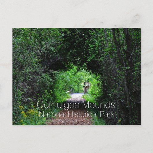 Opelofa Trail, Ocmulgee Mounds, GA Postkarte (Vorderseite)