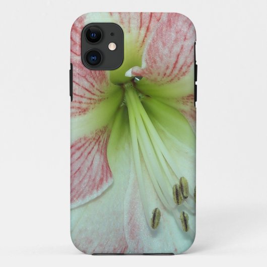 Open Amaryllis Apple Blossom Case-Mate iPhone Hülle (Rückseite)