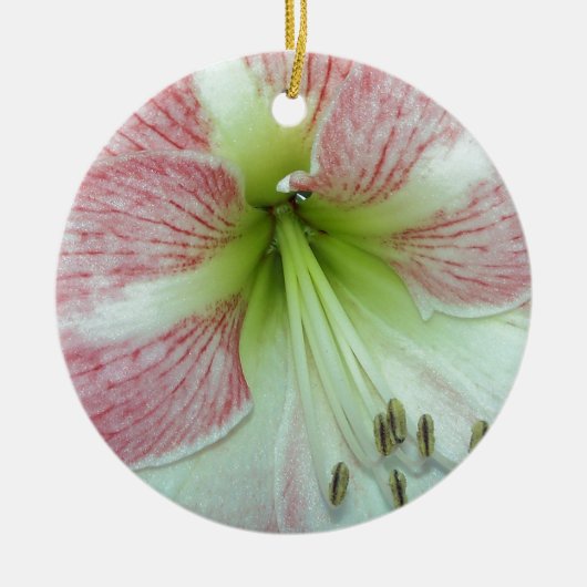 Open Amaryllis Apple Blossom Keramikornament (Vorne)