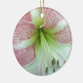 Open Amaryllis Apple Blossom Keramikornament (Links)