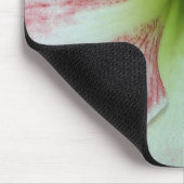 Open Amaryllis Apple Blossom Mousepad (Ecke)