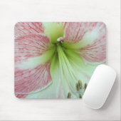 Open Amaryllis Apple Blossom Mousepad (Mit Mouse)