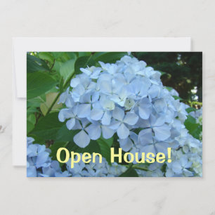 Open House! Einladungen Schulveranstaltungen Hydra