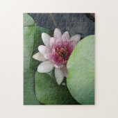 Open Lotus Blume Foto Puzzle (Vertikal)
