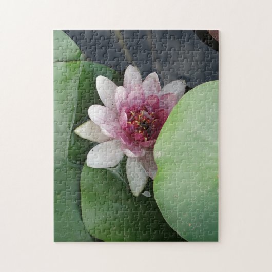 Open Lotus Blume Foto Puzzle (Vertikal)