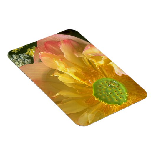 Open Lotus Magnet (Rechte Seite)