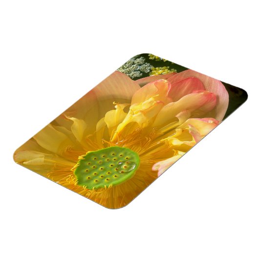 Open Lotus Magnet (Linke Seite)