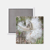 Open Milkweed Pods | Samen mit Seide | Büro Magnet (Vorderseite/Rückseite)