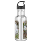 Open Milkweed Pods | Samen mit Seide | Edelstahlflasche (Vorderseite)