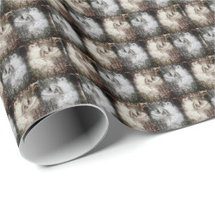 Open Milkweed Pods   Samen mit Seide   Filter Geschenkpapier