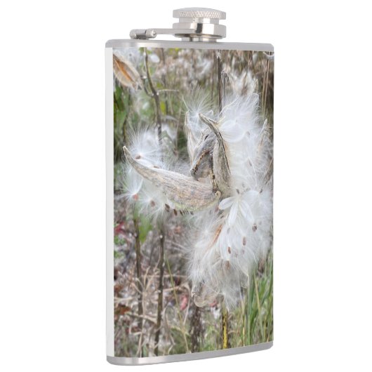 Open Milkweed Pods | Samen mit Seide | Flachmann (Rechts)