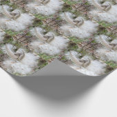 Open Milkweed Pods | Samen mit Seide | Geschenkpapier (Ecke)