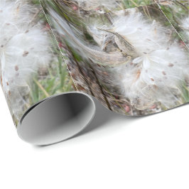 Open Milkweed Pods | Samen mit Seide | Geschenkpapier