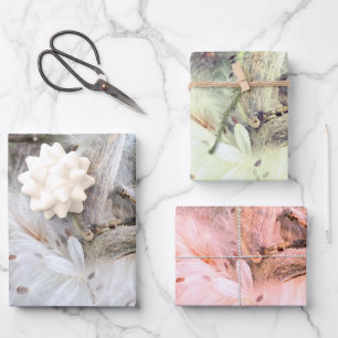 Open Milkweed Pods Samen mit Seide Geschenkpapier Set