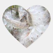 Open Milkweed Pods | Samen mit Seide | Herz-Aufkleber (Vorderseite)