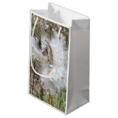 Open Milkweed Pods | Samen mit Seide | Kleine Geschenktüte (Rückseite Schrägansicht)