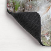 Open Milkweed Pods | Samen mit Seide | Mousepad (Ecke)