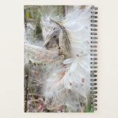 Open Milkweed Pods | Samen mit Seide | Planer (Rückseite)