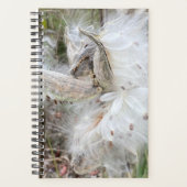 Open Milkweed Pods | Samen mit Seide | Planer (Vorderseite)
