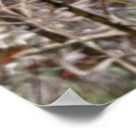 Open Milkweed Pods | Samen mit Seide | Poster (Ecke)