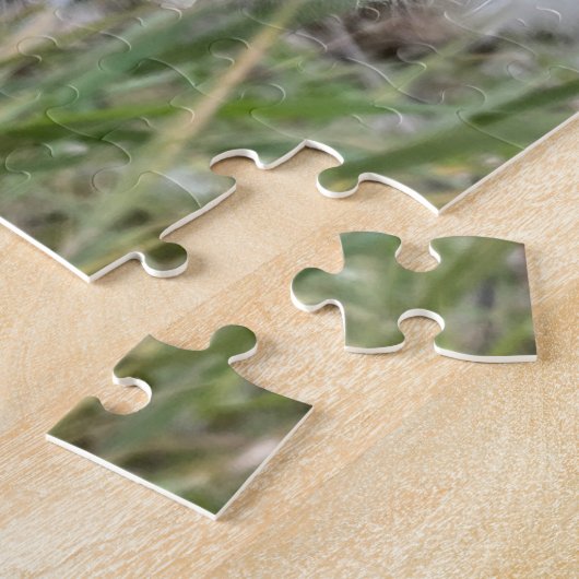 Open Milkweed Pods | Samen mit Seide | Puzzle (Seite)