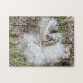 Open Milkweed Pods | Samen mit Seide | Puzzle (Horizontal)