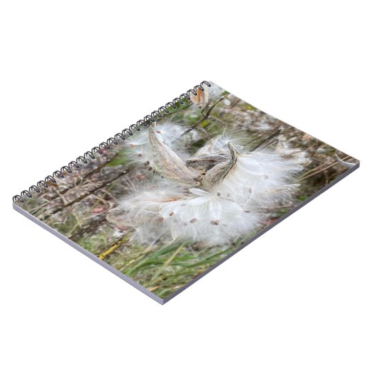 Open Milkweed Pods | Samen mit Seide | Spirale Notizblock (Linke Seite)