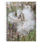 Open Milkweed Pods | Samen mit Seide | Spirale Notizblock (Vorderseite)