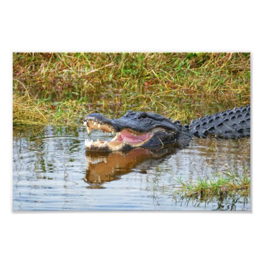 Open Mouth Fotodruck (Vorne)