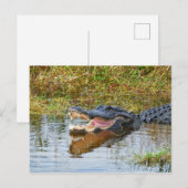 Open Mouth Postkarte (Vorne/Hinten)