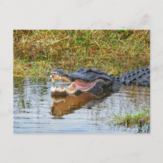Open Mouth Postkarte (Vorderseite)