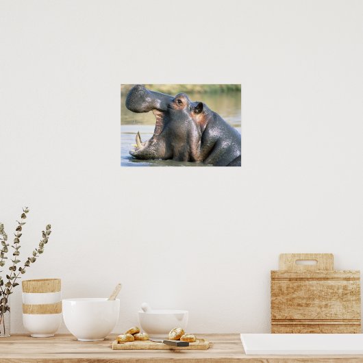 Open Mouthed Hippo Poster (Küche)