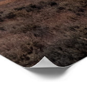 Open Prairie Grand Teton Poster (Ecke)