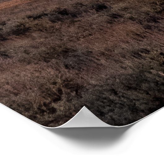 Open Prairie Grand Teton Poster (Ecke)