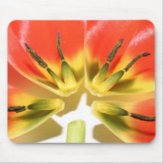 Open Re--konstruierte rote Tulpe Mousepad