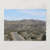 Open Road- Joshua Tree Postkarte (Vorderseite)