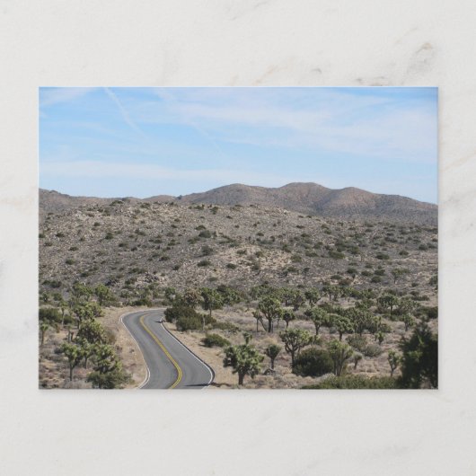 Open Road- Joshua Tree Postkarte (Vorderseite)