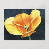 Open Tulip Art Blume Art Collection Postkarte (Vorderseite)