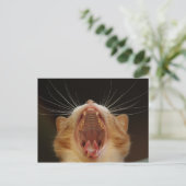 Open Wide Kitty Yawning Postkarte (Stehend Vorderseite)