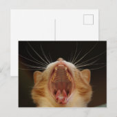 Open Wide Kitty Yawning Postkarte (Vorne/Hinten)