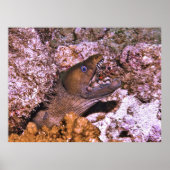 Open Wide Poster (Vorne)