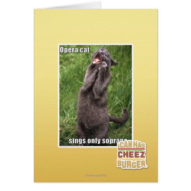 Opera Cat (Vorne)