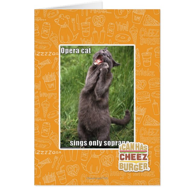 Opera Cat (Vorne)