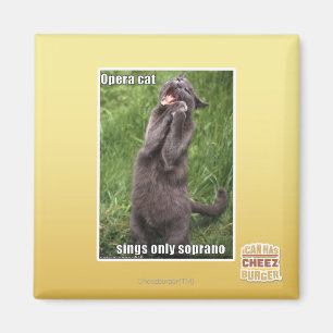 Opera Cat Magnet