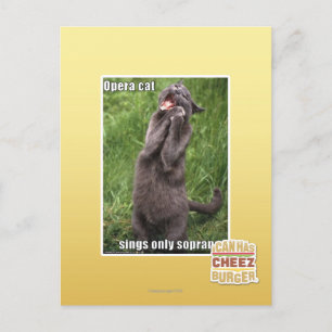 Opera Cat Postkarte