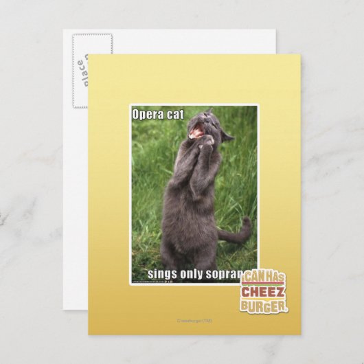 Opera Cat Postkarte (Vorne/Hinten)